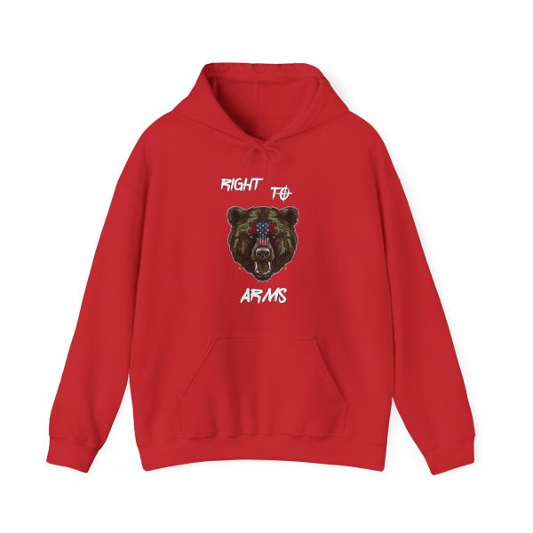 Right 2 Bear Arms - Hoodie - Image 24